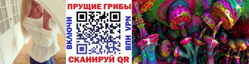 Псилоцибиновые грибы Magic Shrooms  Александровск-Сахалинский 